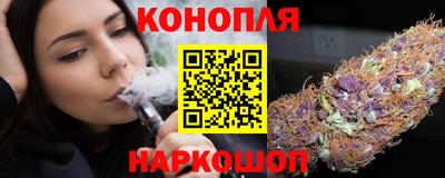 гидропоника Будённовск