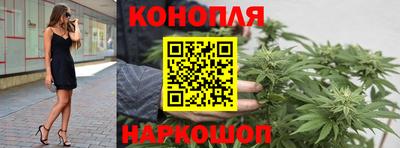 гидропоника Будённовск