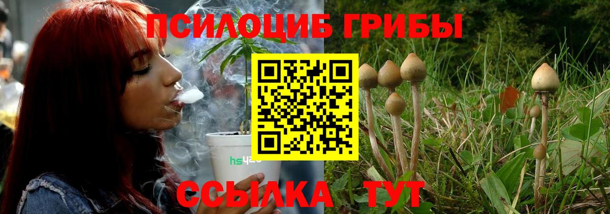 Галлюциногенные грибы мицелий Новотроицк
